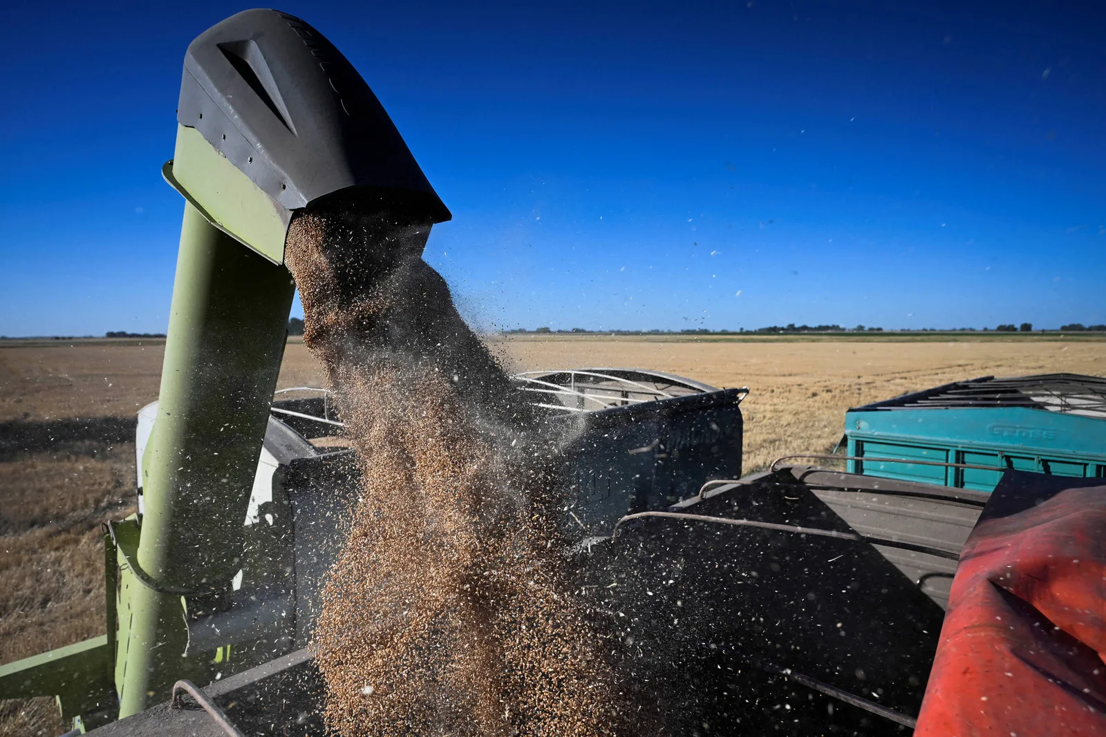 Exportações agrícolas da Argentina podem alcançar US$ 40 bilhões em 2027