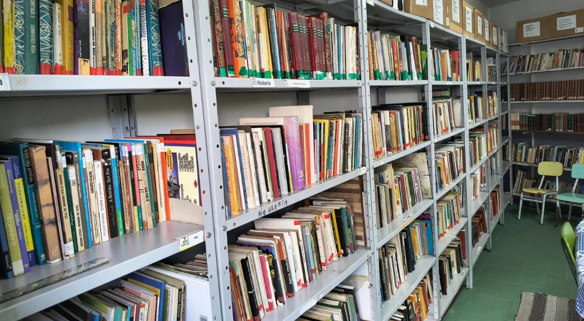 Bibliotecas mantêm leitores próximos dos livros físicos na era digital