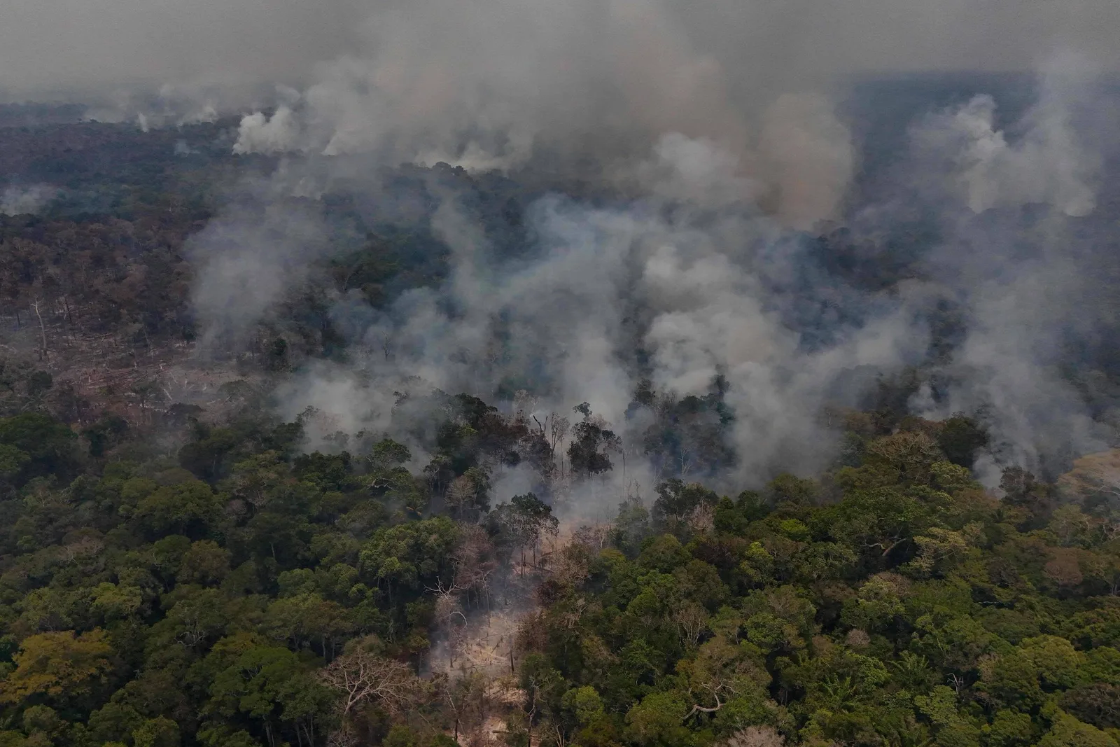 Ministro aponta indícios de incêndios criminosos em áreas preservadas do Amazonas