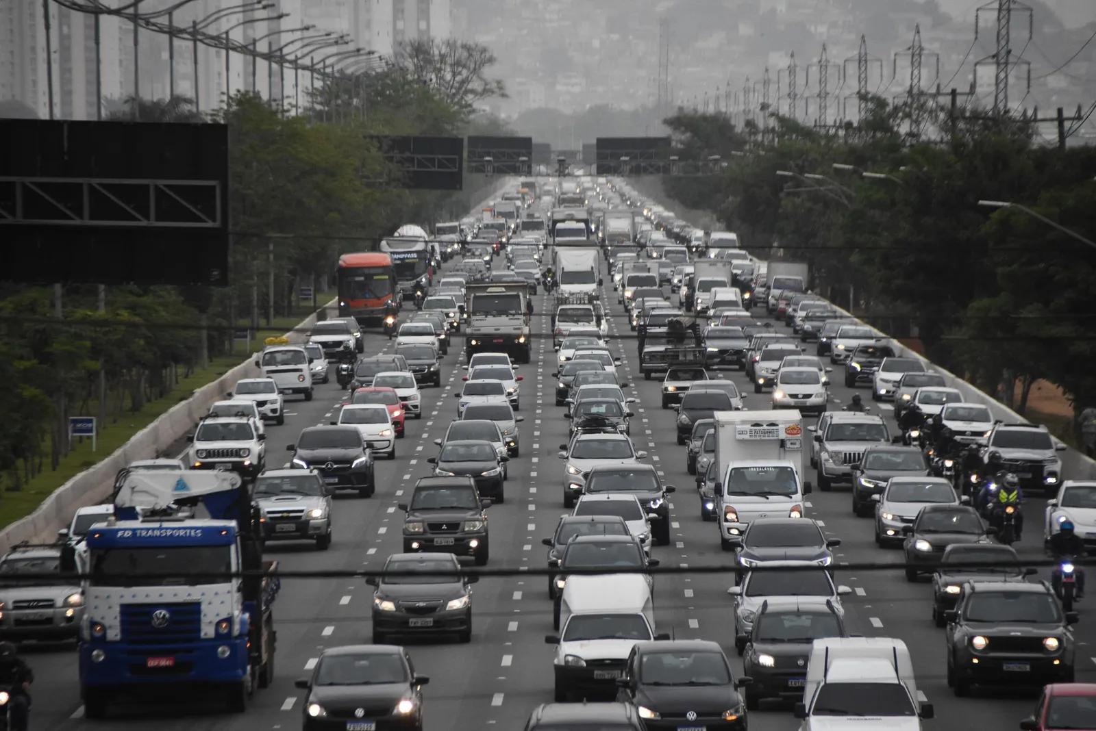 Feriado em São Paulo suspende rodízio e muda atendimento de serviços