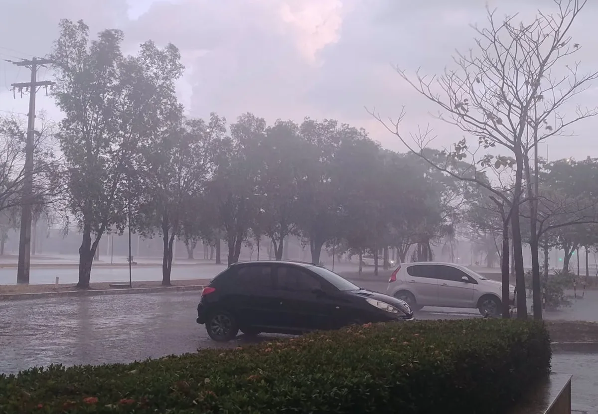 Tocantins deve ter calor de até 38°C após dias de chuva