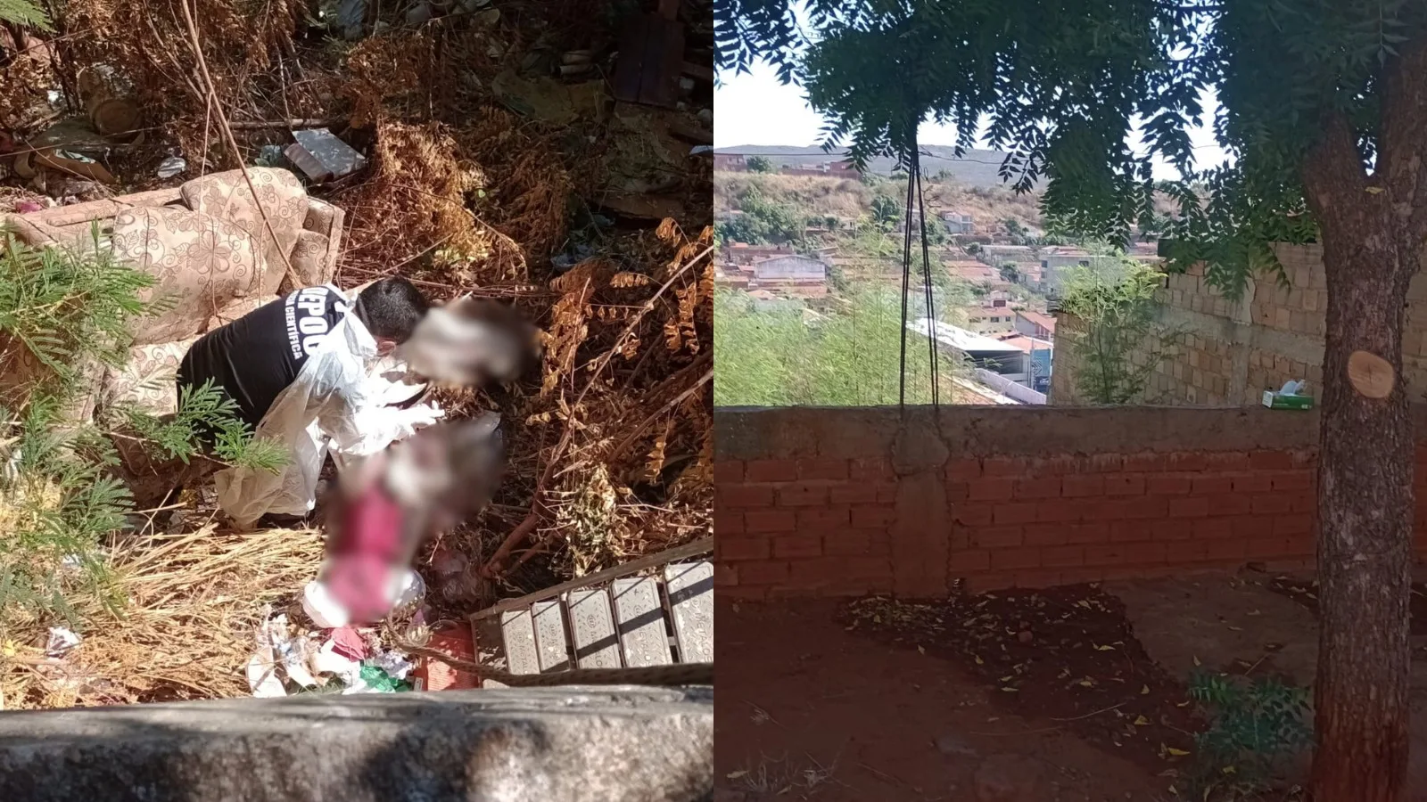 Suspeito é preso após corpo ser localizado em área de mata em Picos
