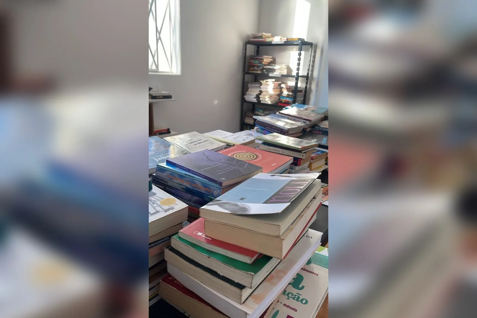 Sebo criado com uma mala ganha endereço fixo em Itapetininga