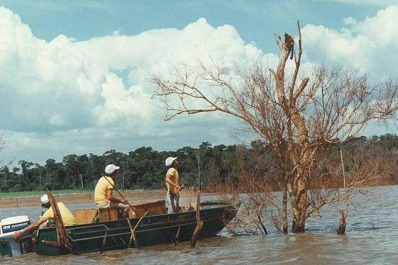 Operação Mymba Kuéra resgatou quase 39 mil animais durante obra de Itaipu