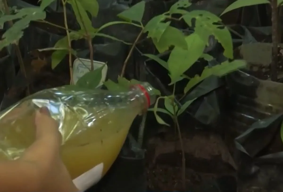 Biodigestor da UFPB transforma resíduos orgânicos em gás e fertilizante