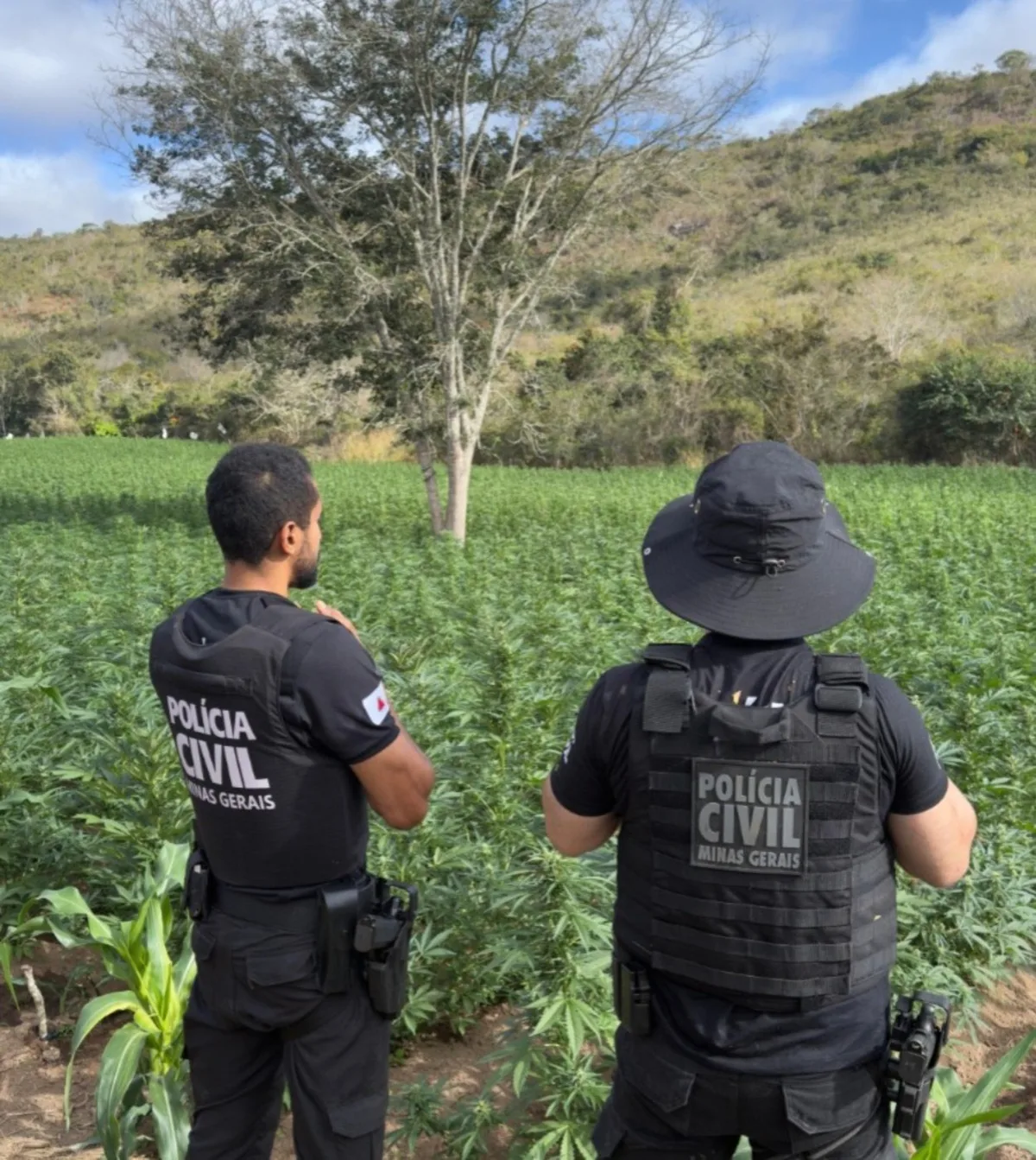 Tempestade e acidentes estão entre os destaques mais lidos em Minas Gerais