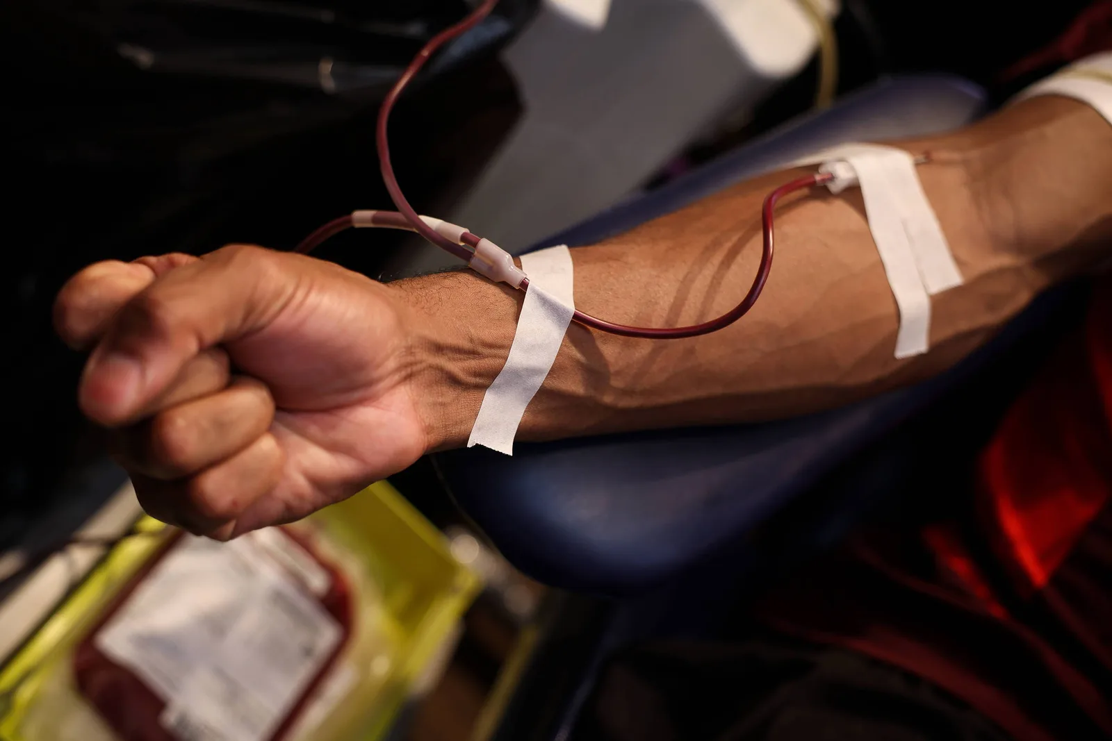 Testemunhas de Jeová liberam decisão individual sobre quatro componentes do sangue