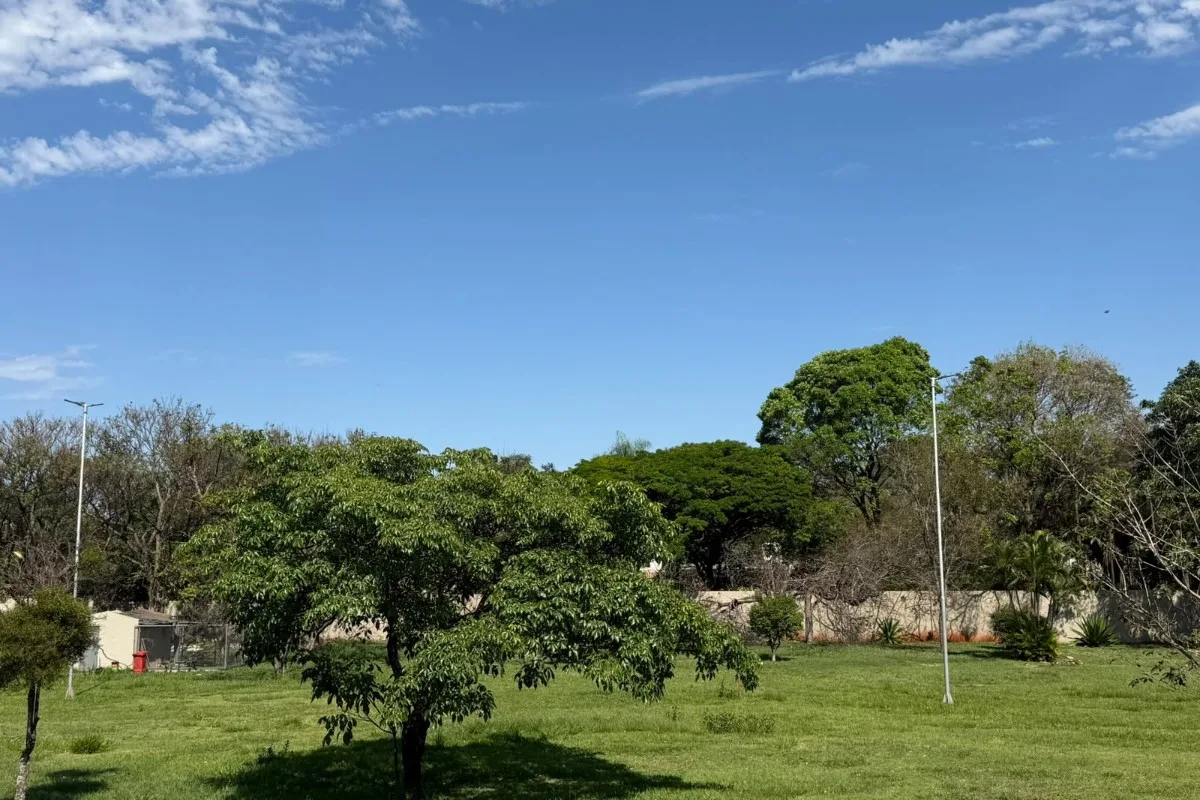 Mato Grosso do Sul terá temporais e temperaturas de até 39°C no fim de semana