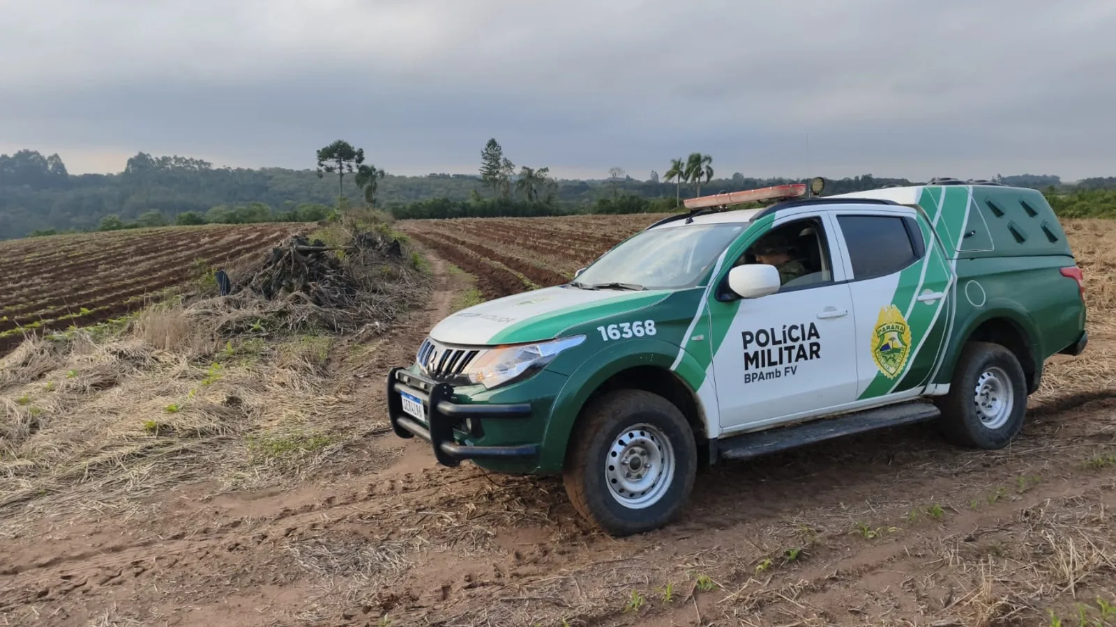 Fazendeiro recebe multa de R$ 84 mil por desmatamento no Paraná