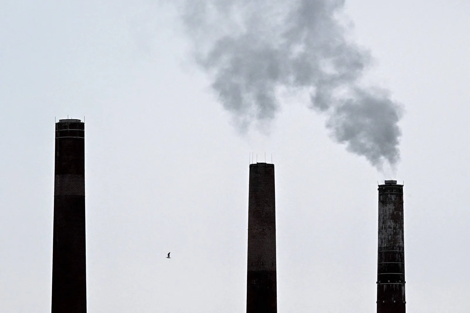 Brasil negocia com China possível compra de créditos de carbono