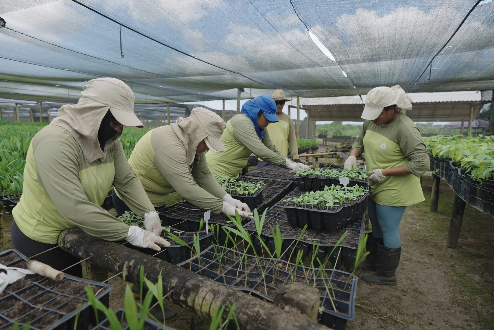 Empresas ainda têm dificuldade para incluir clima em decisões de investimento