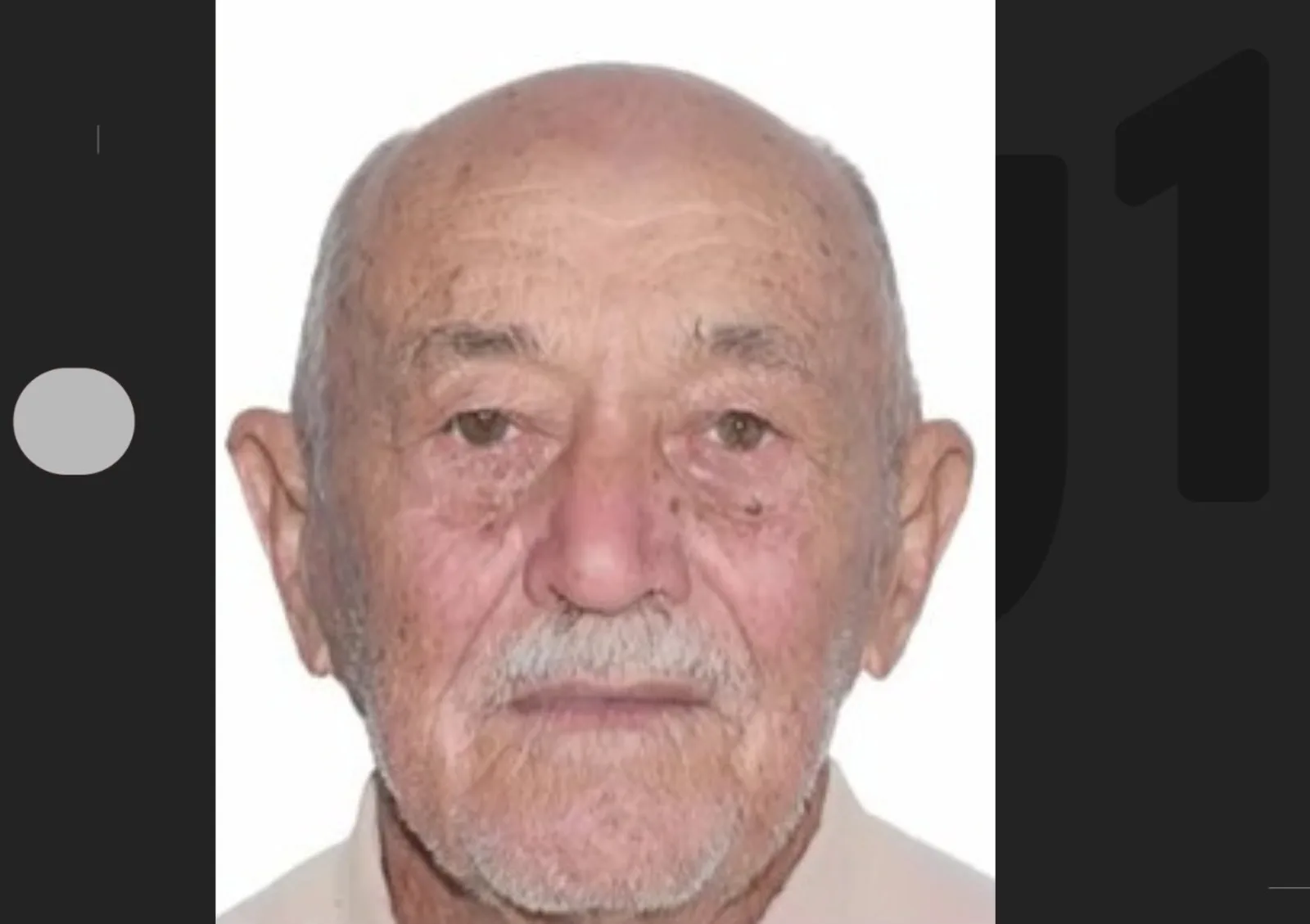 Polícia não encontra indícios de crime na morte de idoso após ataque de abelhas