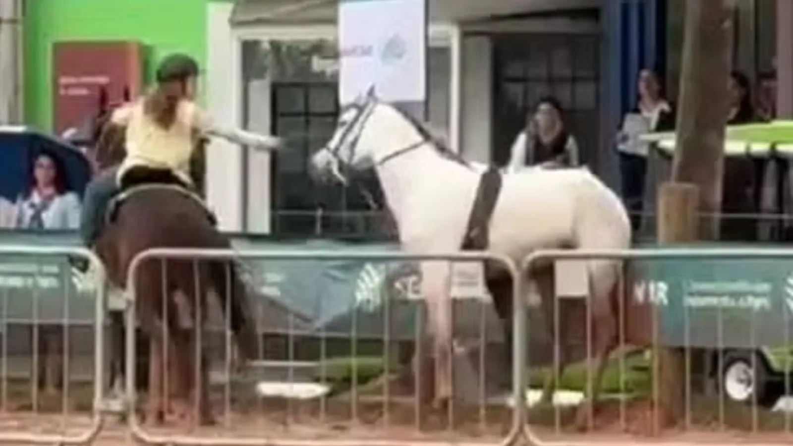 Vídeo registra menina detendo cavalo após queda de cavaleira na Expointer