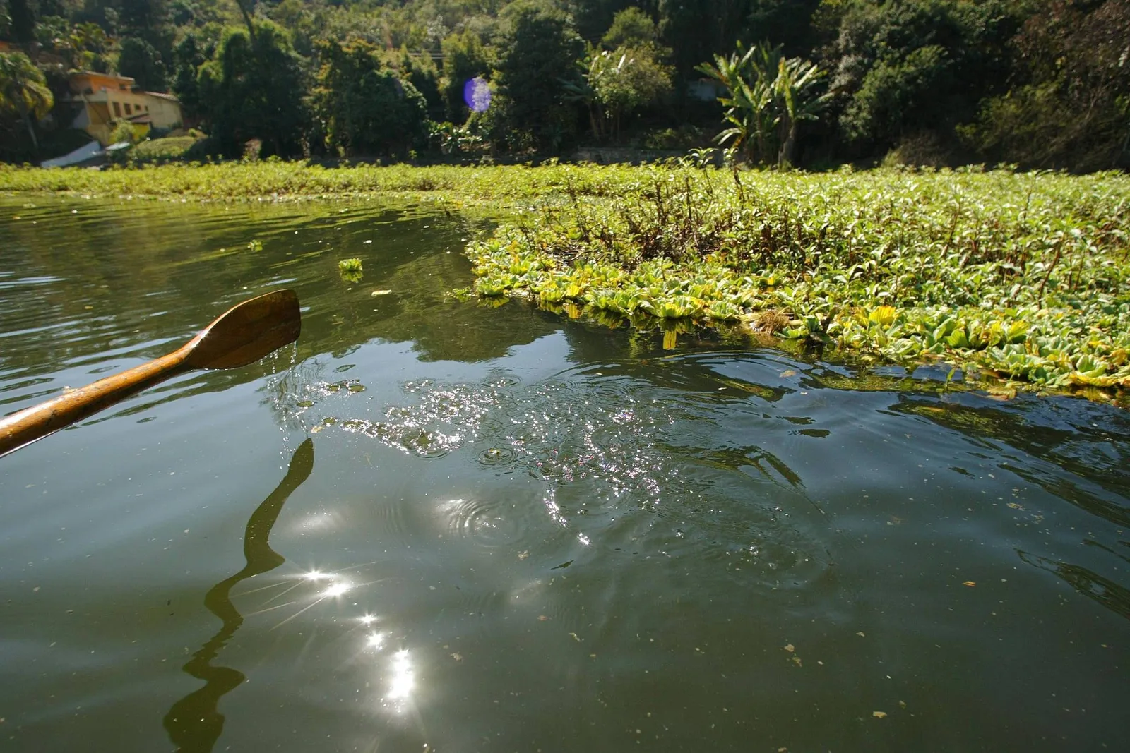 Entidades pedem atualização sobre fósforo na represa Guarapiranga
