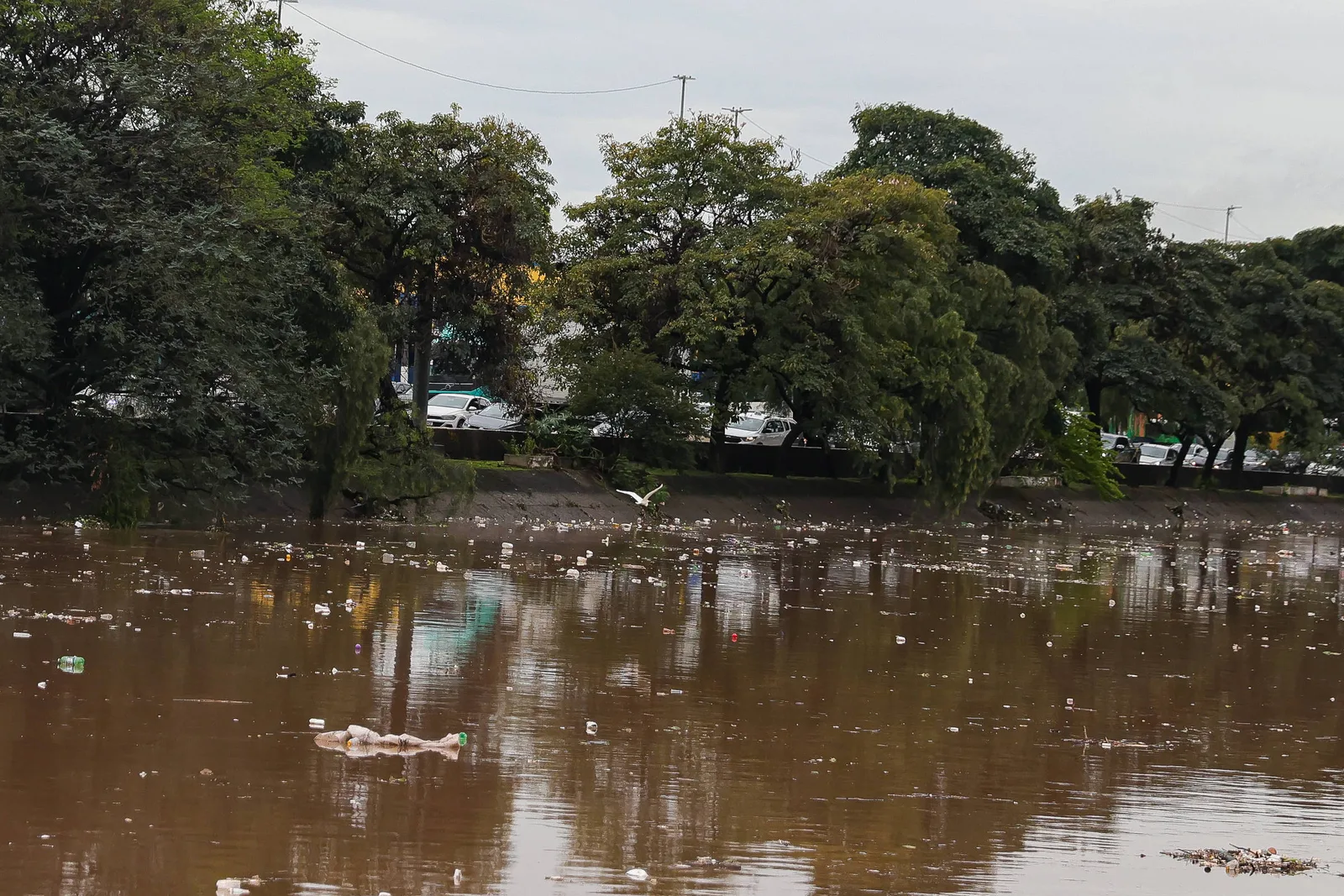 Chuva forte mantém alerta laranja para São Paulo neste domingo