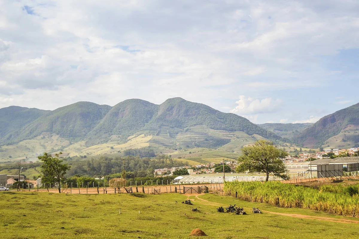 Lynas compra Meteoric por R$ 3,5 bilhões e assume projeto de terras raras em Minas