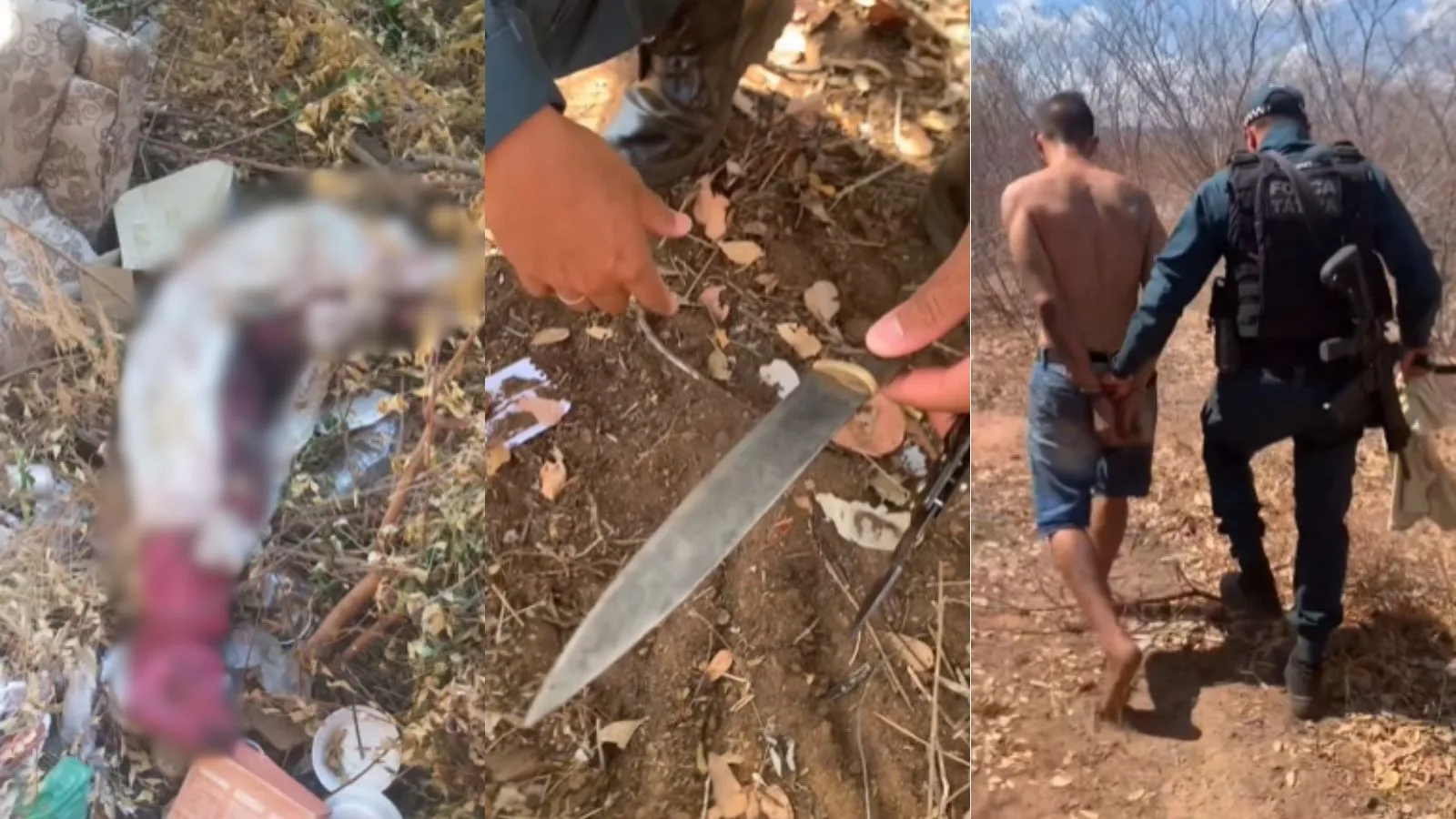 Preso em Picos já era investigado por homicídio em Teresina