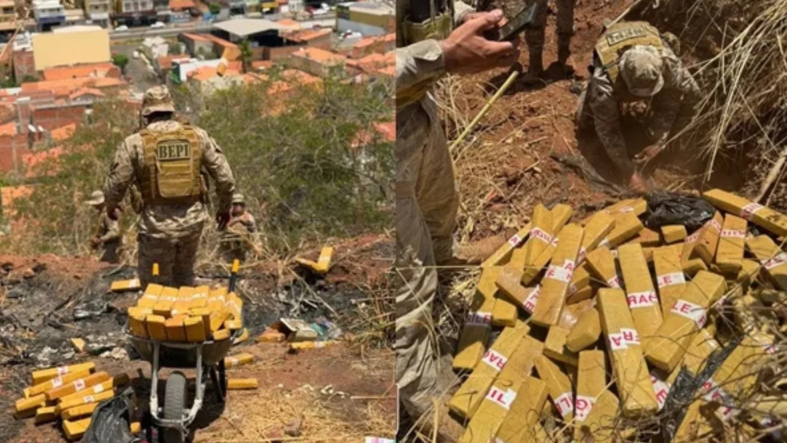 Polícia apreende 150 quilos de maconha em área de mata em Picos
