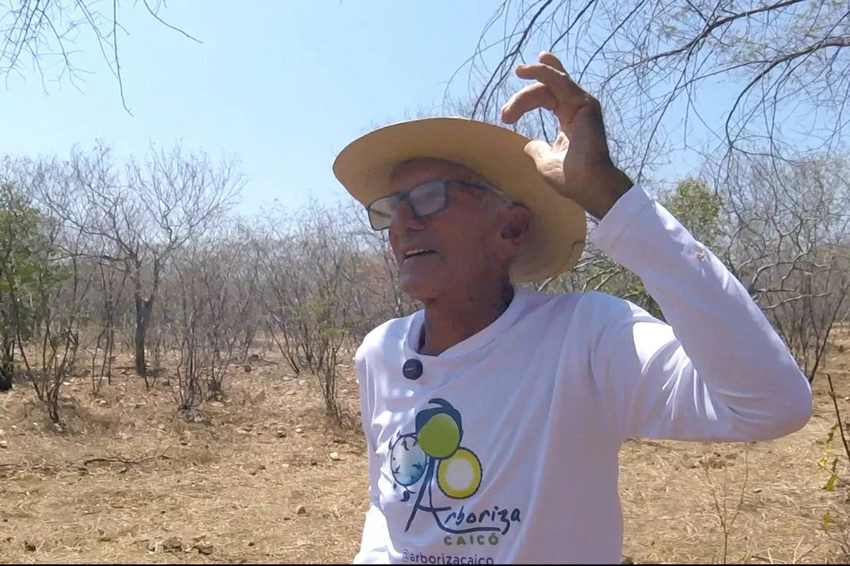 Sinais da caatinga orientam previsão de chuva no interior do Rio Grande do Norte