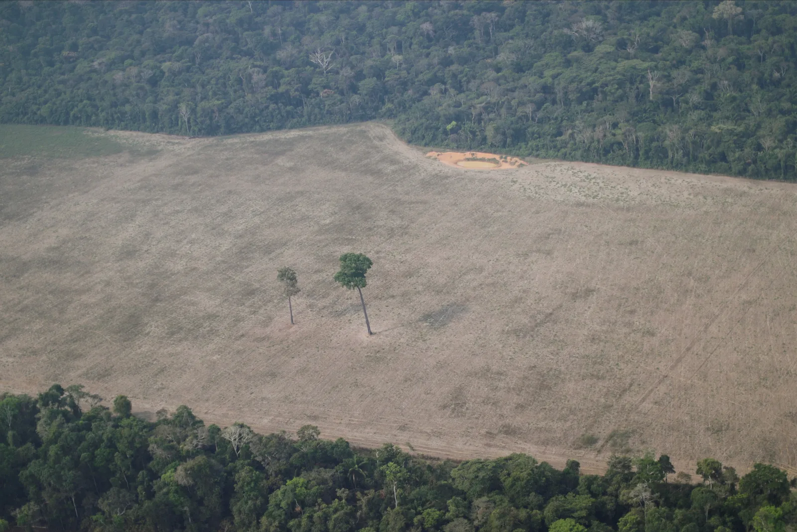 Rondônia reduz desmatamento, mas áreas protegidas seguem entre as mais afetadas