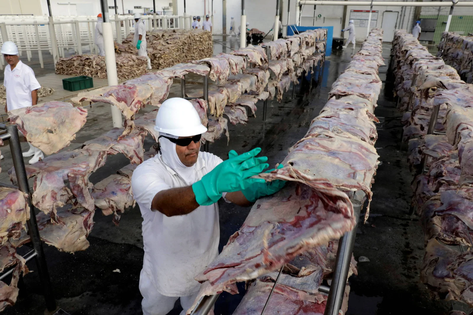 Brasil espera superar impasse para voltar a exportar carne à União Europeia