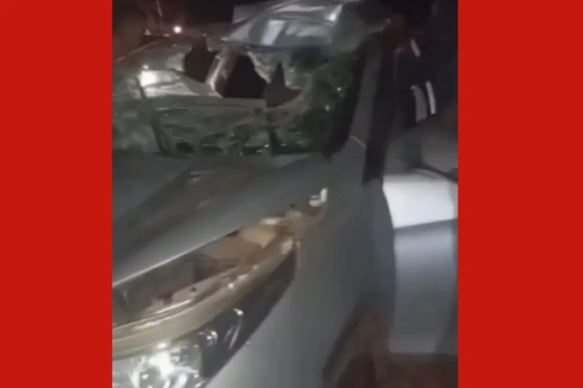 Motorista fica ferido após carro bater em vaca em rodovia de Poconé