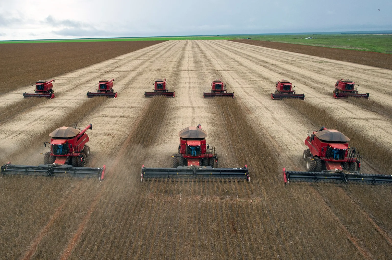 Abag propõe cinco políticas para reduzir gargalos do agronegócio