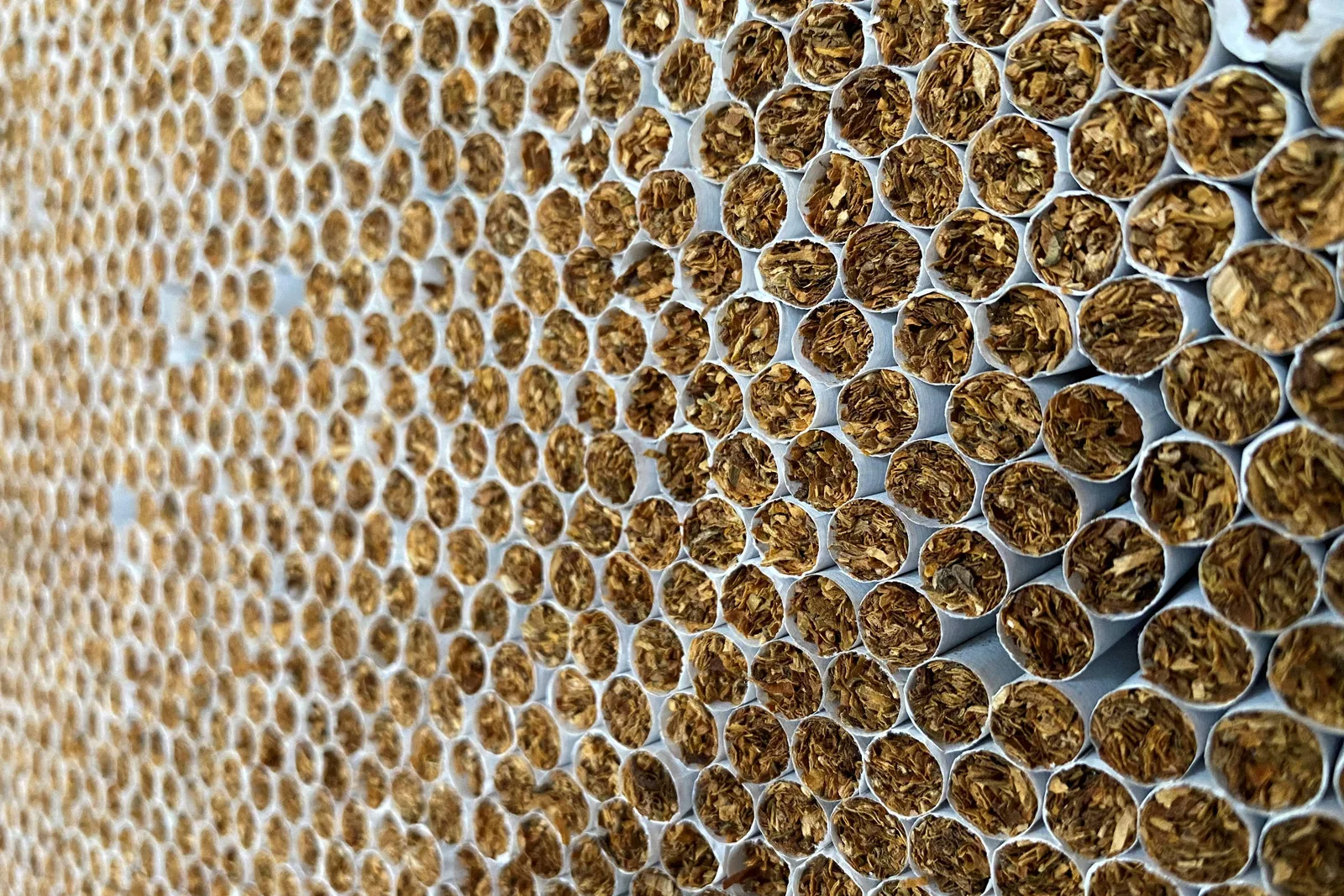 Fábricas clandestinas de cigarros avançam dentro da União Europeia