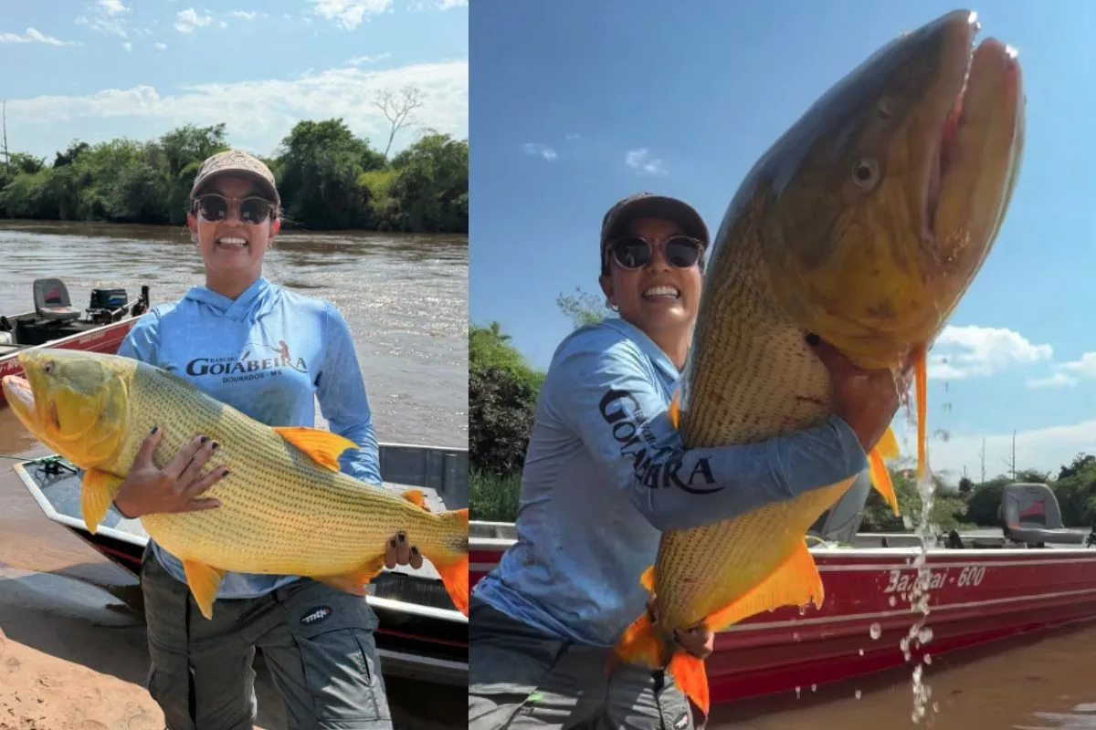 Pescadora fisga dourado de 18 quilos em rio de Mato Grosso do Sul