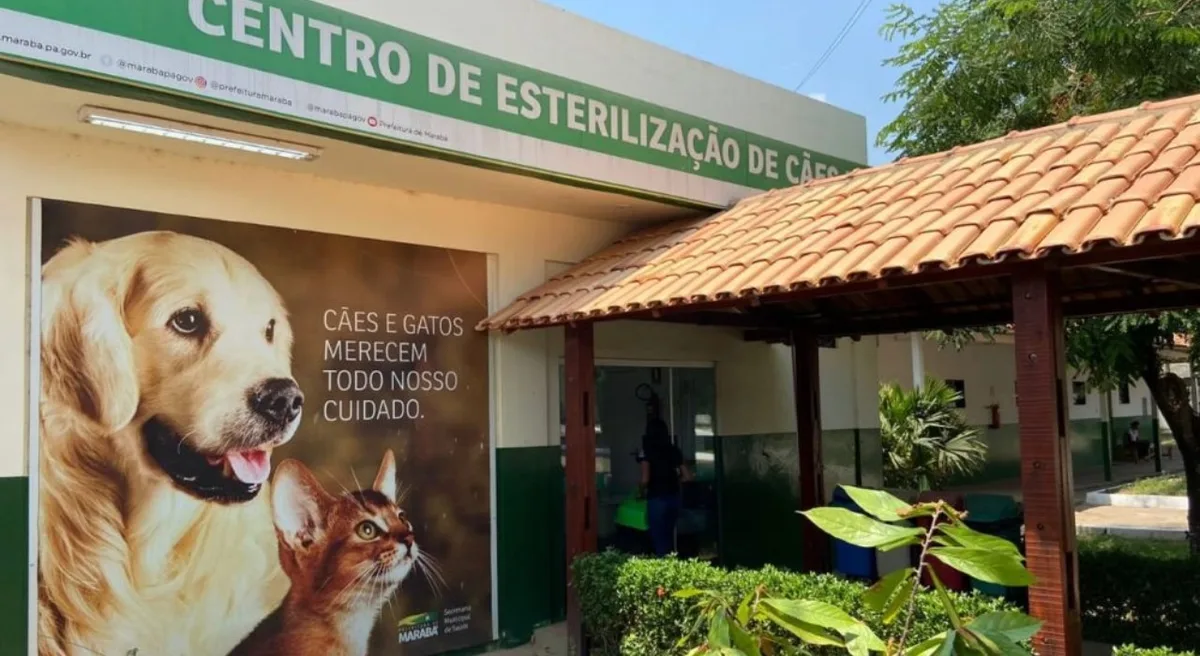Três amostras de morcegos dão positivo para raiva em cidade paulista