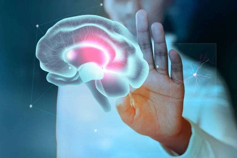 Silêncio neuronal antes de crises pode orientar estímulo preventivo