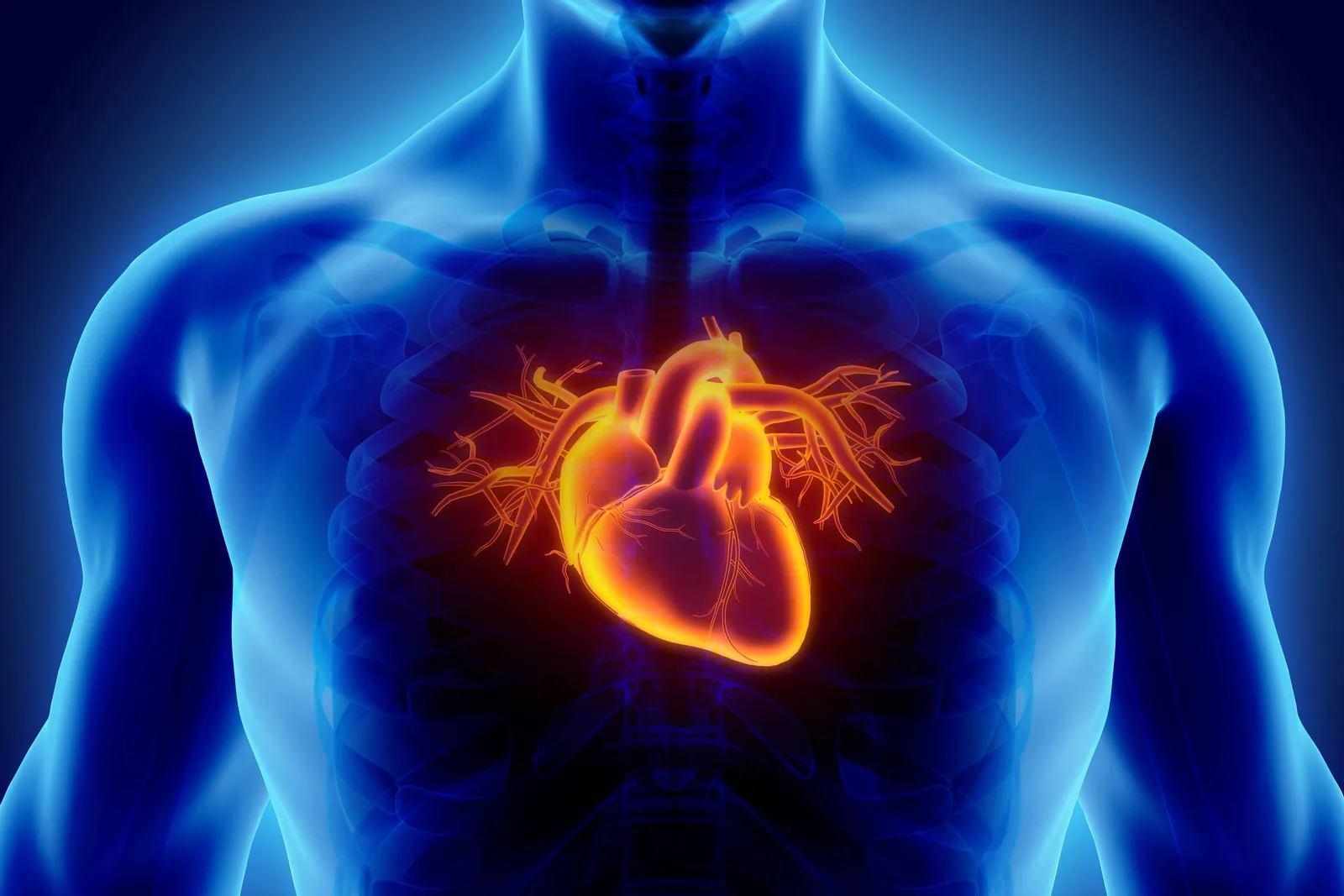 Hospital japonês faz cirurgia cardíaca com lâminas de células-tronco