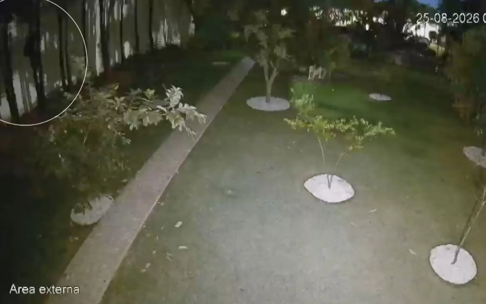 Polícia prende suspeito de invasão e roubo em condomínio de Ribeirão Preto