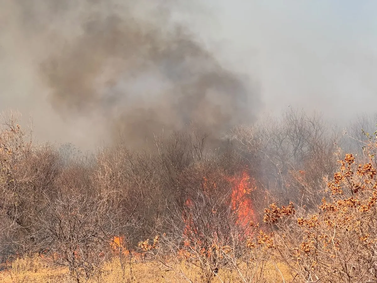 Piauí concentra quase 280 focos de incêndio em intervalo de 24 horas