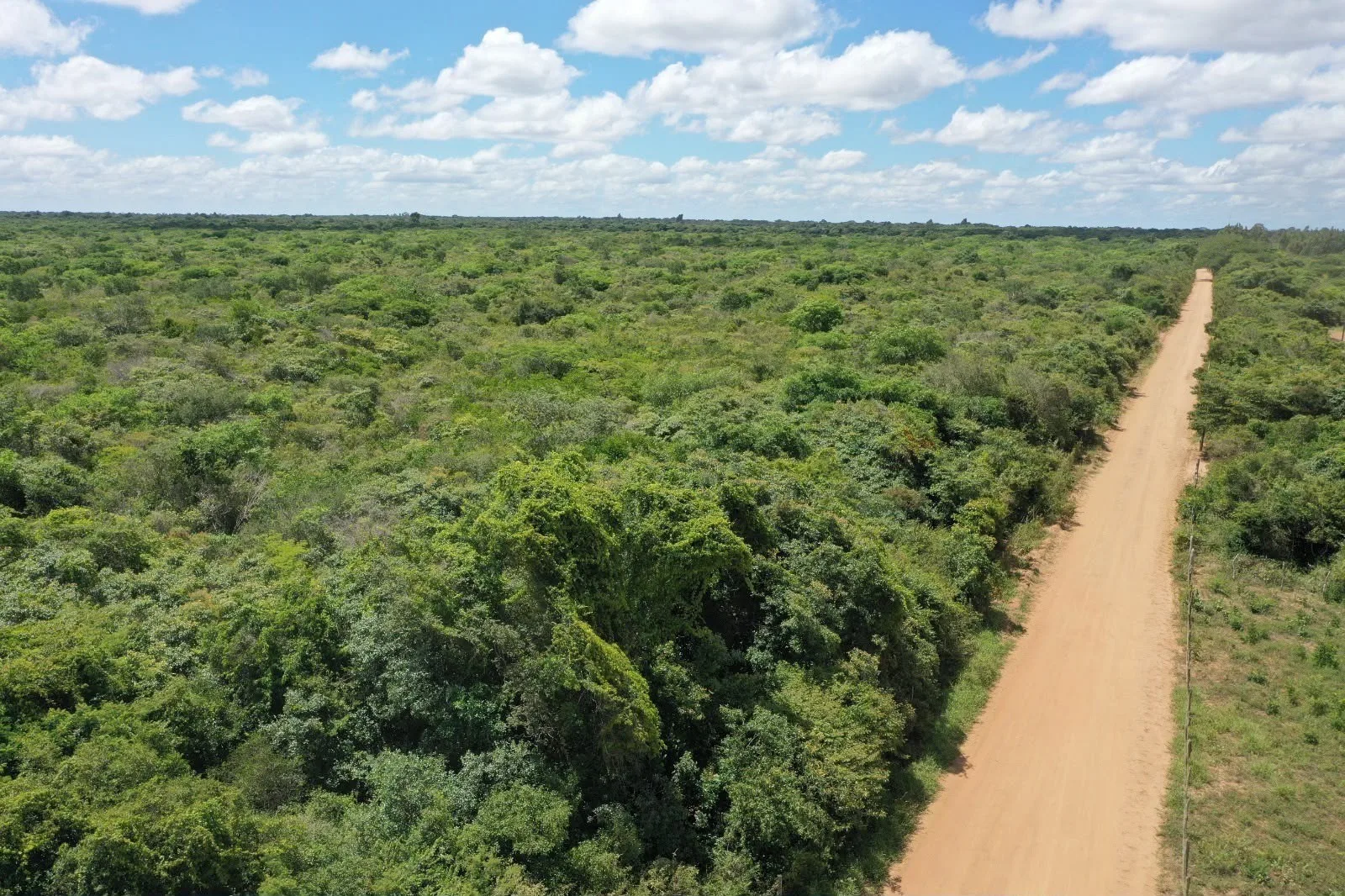 Reserva Serra das Abelhas, em Exu, tem 100 hectares de Caatinga protegida