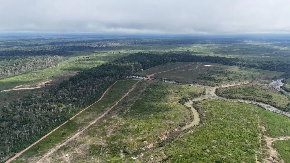 Desmatamento no Amazonas recua 27% até agosto, mas áreas protegidas seguem sob pressão
