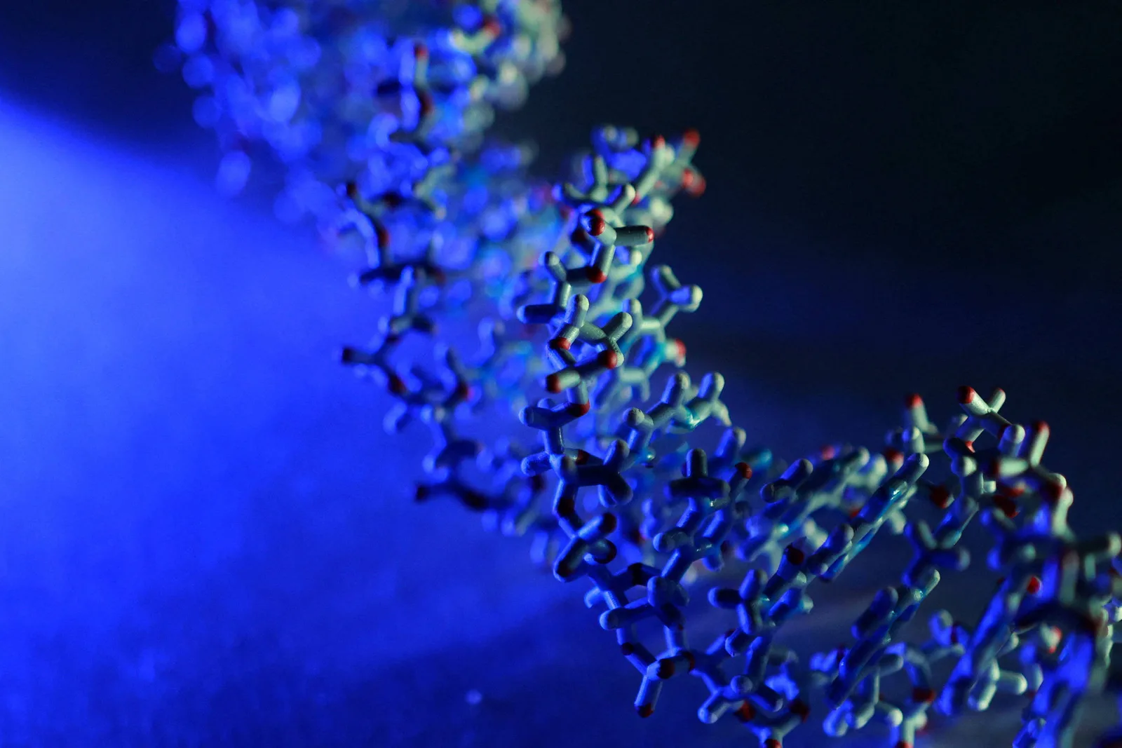 Claude identifica sistema enzimático com características semelhantes ao Crispr