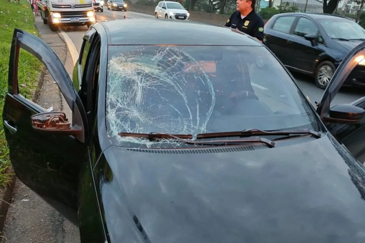 Motorista é preso após atropelar três romeiros na Dutra, em Taubaté