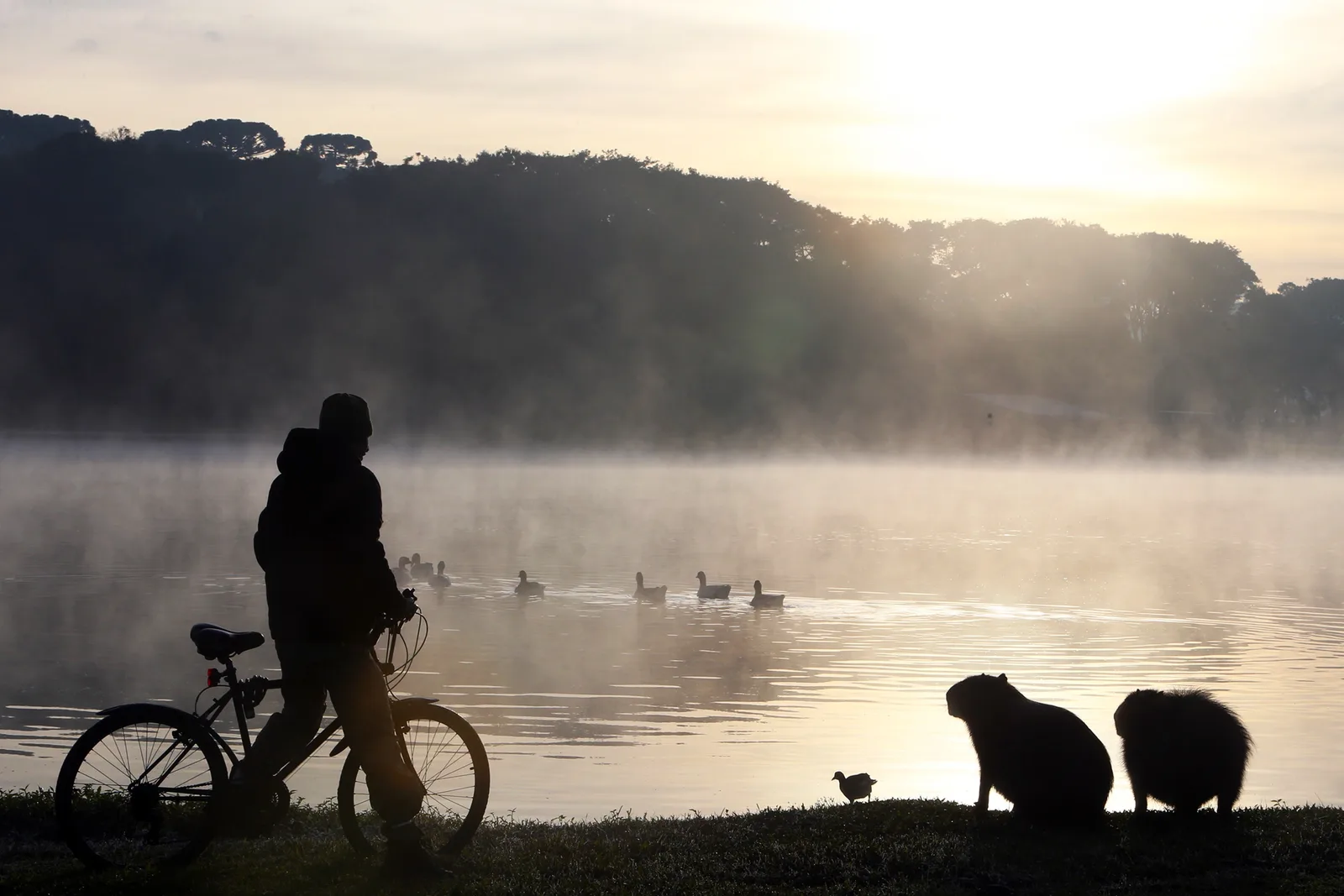 Inmet alerta para frio no Paraná, com mínimas entre 3°C e 5°C