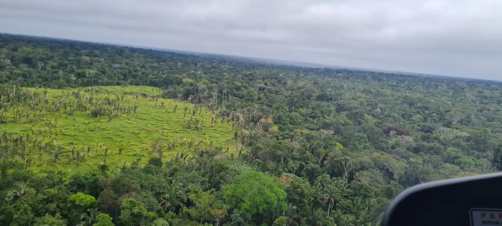 Amazonas ganha quatro reservas sustentáveis com 669 mil hectares