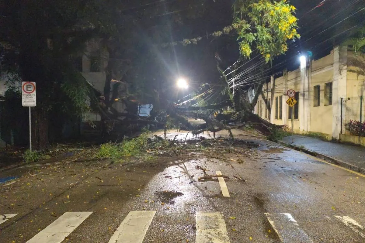 Chuvas causam alagamentos, deslizamentos e naufrágios em nove cidades paulistas