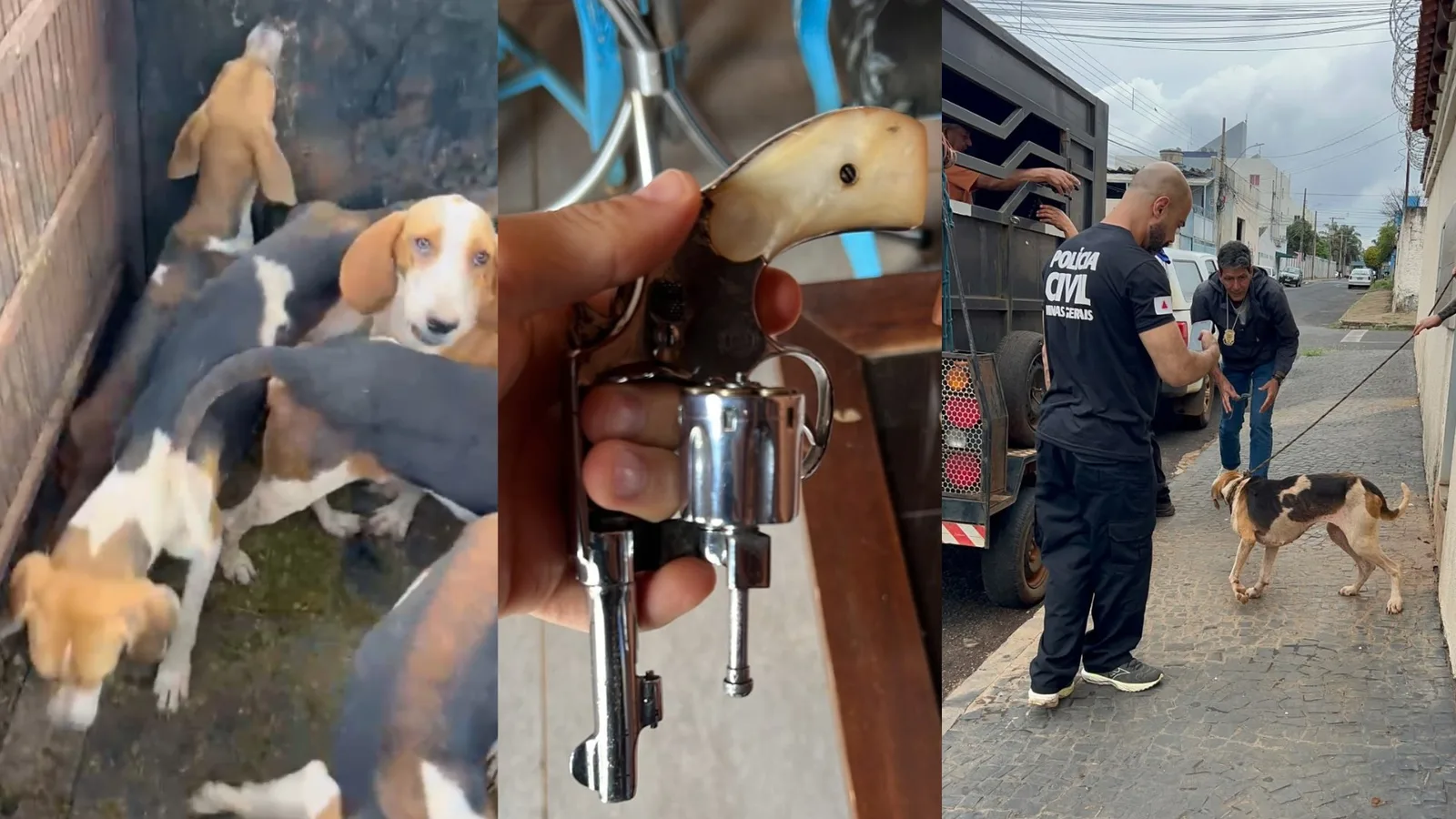 Homem é preso com duas armas durante resgate de nove cães em Uberlândia