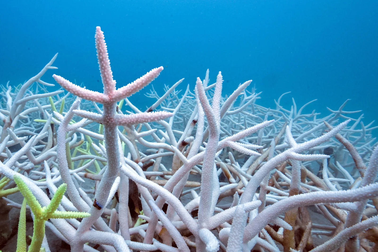 Oceano absorve calor e acelera alta do nível do mar, aponta relatório