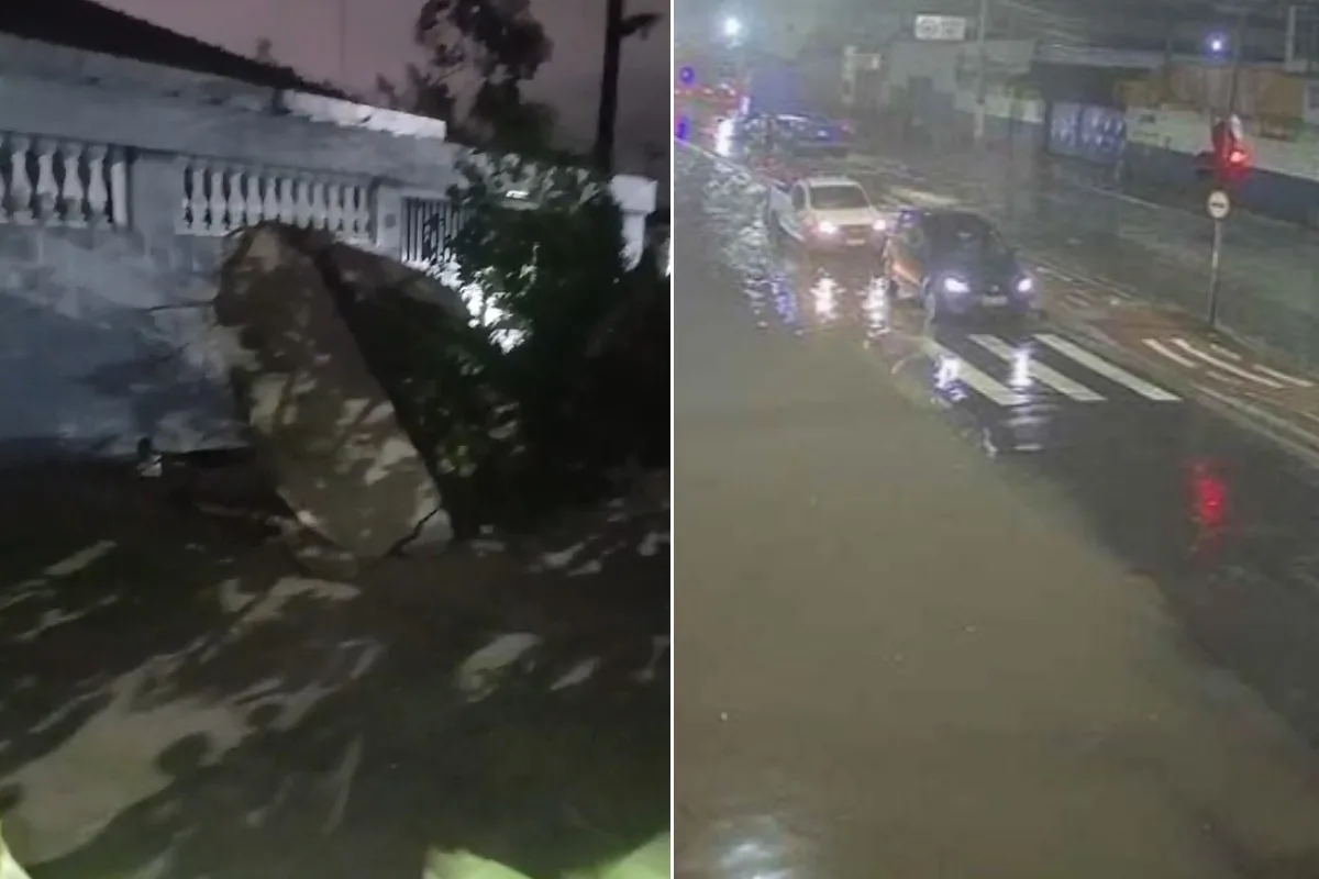 Chuvas e ventos causam alagamentos e quedas de árvores no litoral de SP