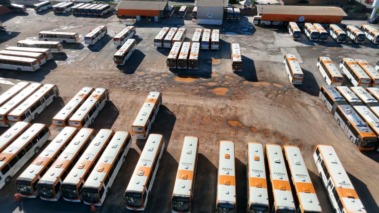 Celina e Grass divergem sobre BRB e convergem em propostas para transporte e assistência