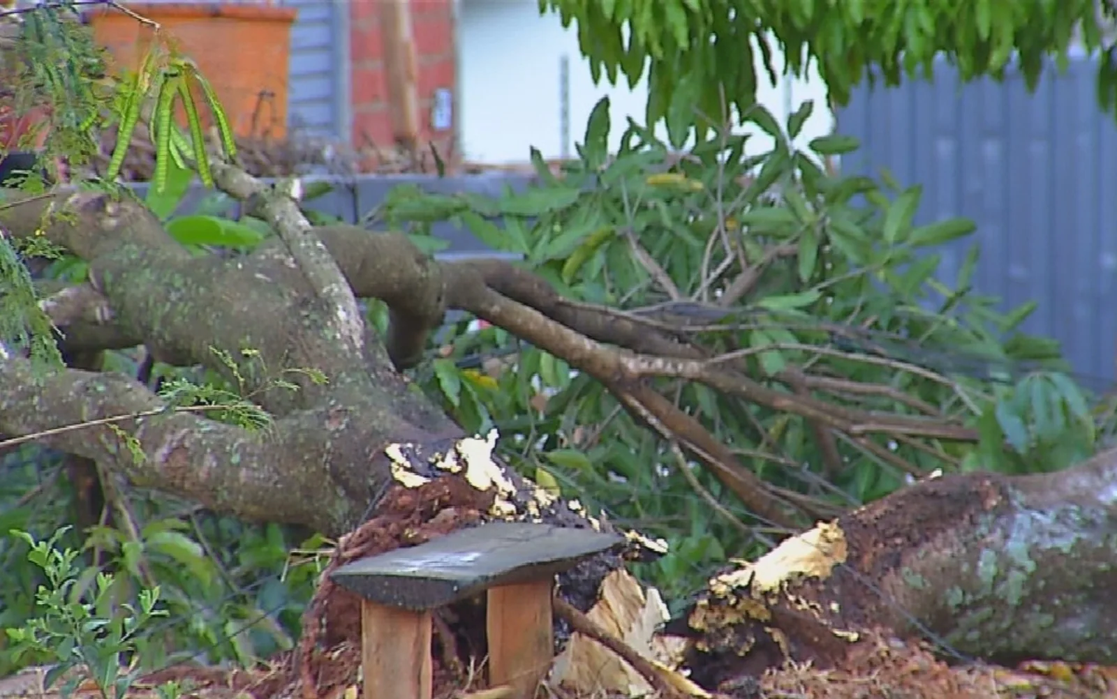 Goiás registra erosão, queda de estruturas e chuva de até 45,6 mm
