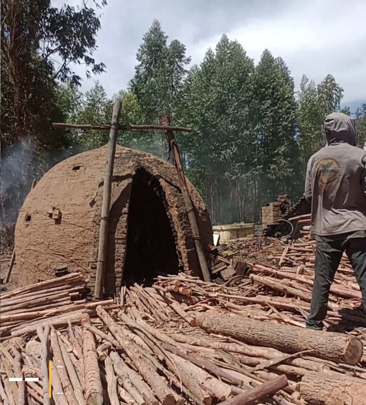 Três trabalhadores são resgatados de carvoarias clandestinas em Carbonita