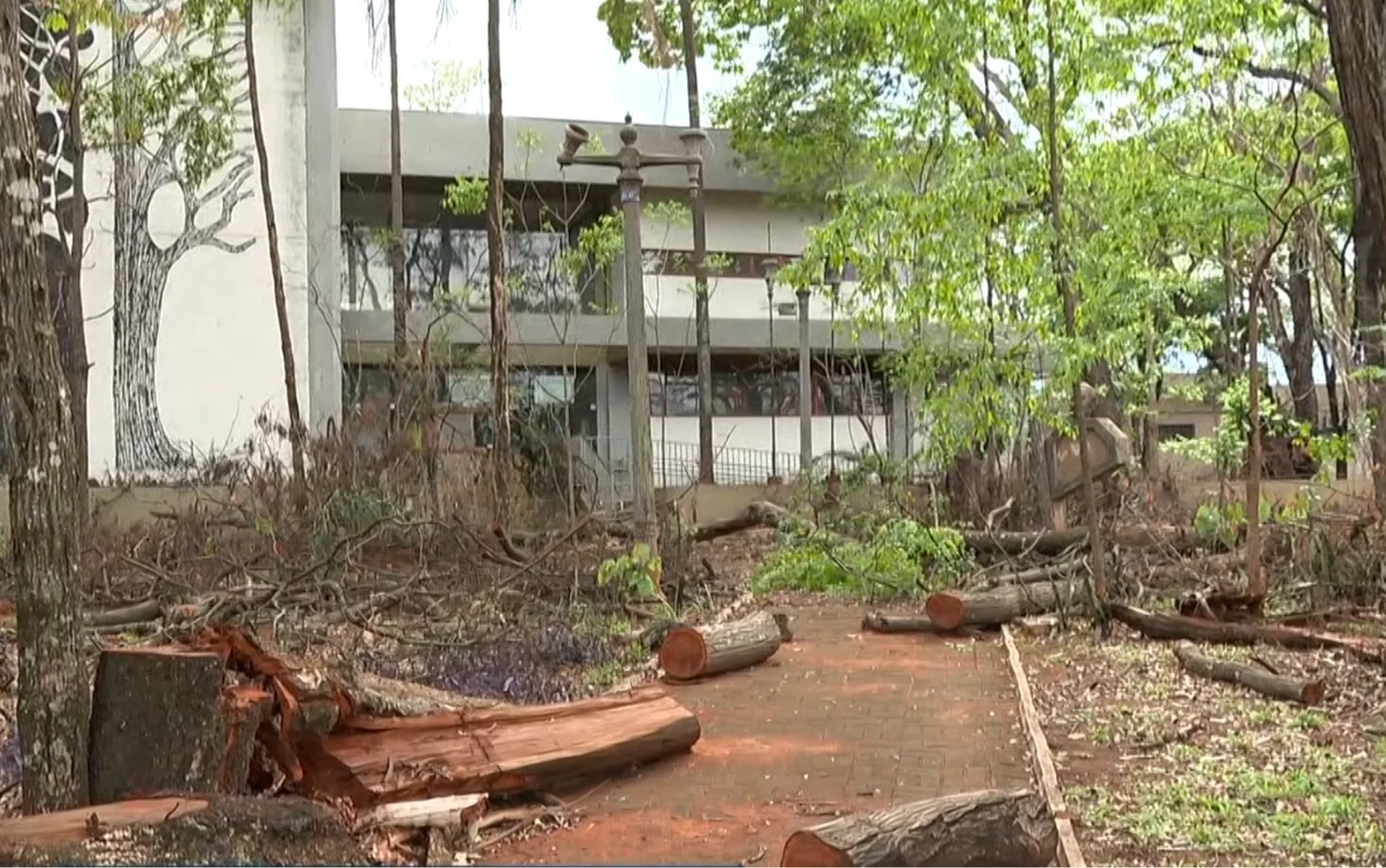 Teatros de Ribeirão Preto continuam fechados após temporal e sem previsão de reabertura