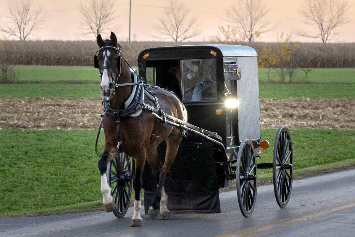 Vacinação em casas tenta conter surto de sarampo entre amish na Pensilvânia