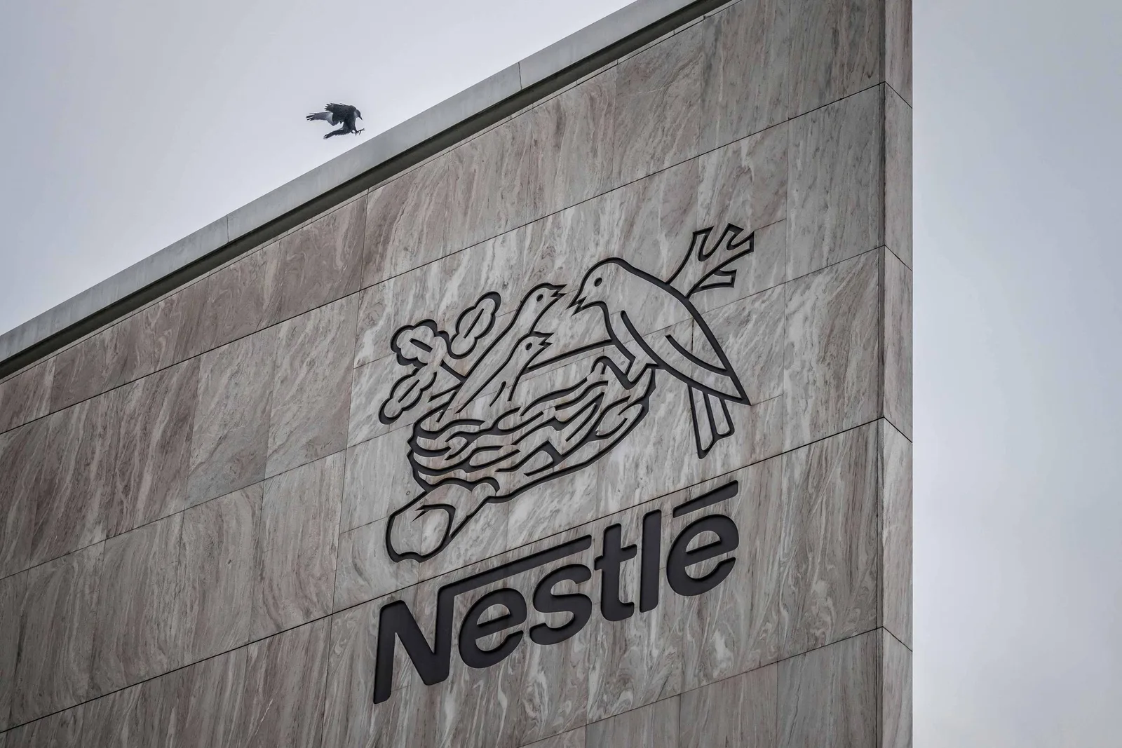Regulador indiano abre processos contra Nestlé por alimento infantil